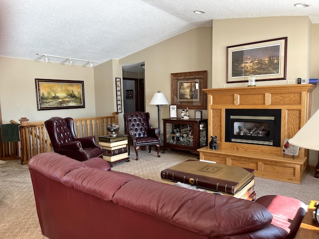 living area with vaulted ceiling, rail lighting, a textured ceiling, and carpet floors