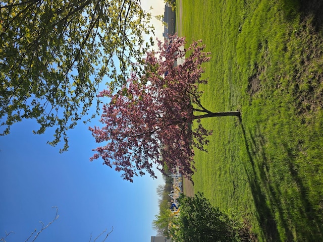 view of local wilderness featuring a forest view
