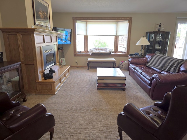 1085 20th St, Windom, MN 56101 - carpeted living room with a glass covered fireplace