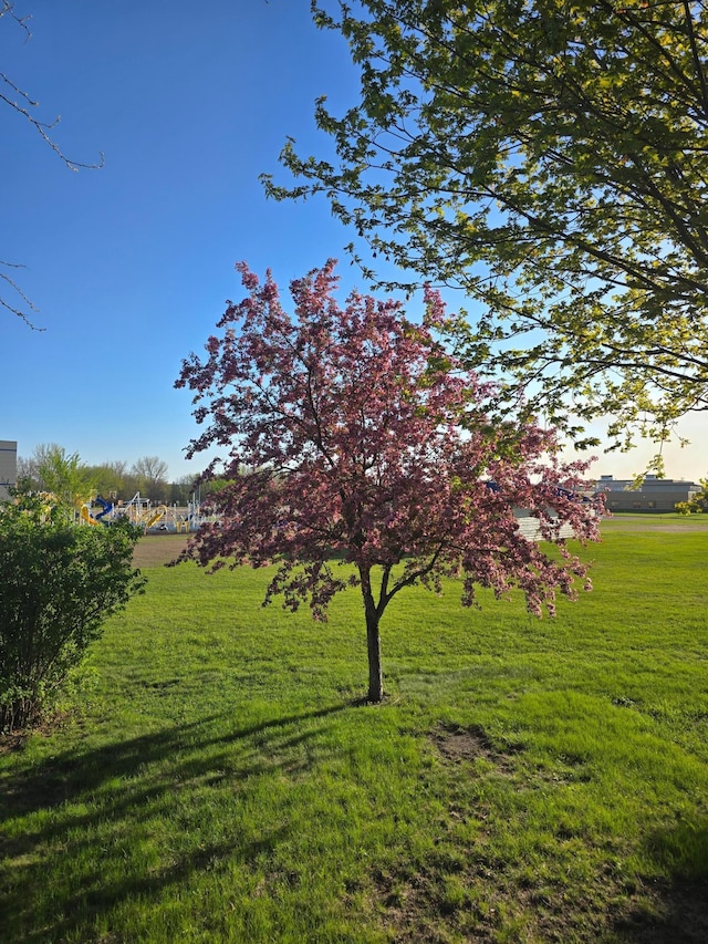 1085 20th St, Windom, MN 56101 - view of grassy yard