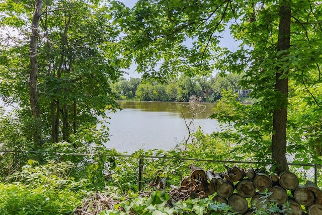 13056 Euclid Ave, Apple Valley, MN 55124 - water view