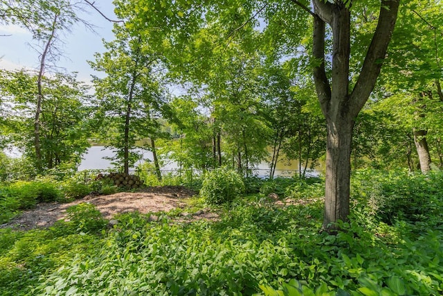 13056 Euclid Ave, Apple Valley, MN 55124 - view of yard