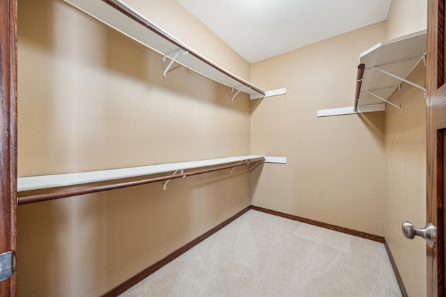 173 Cardinal Ln, Clearwater, MN 55320 - walk in closet featuring carpet flooring