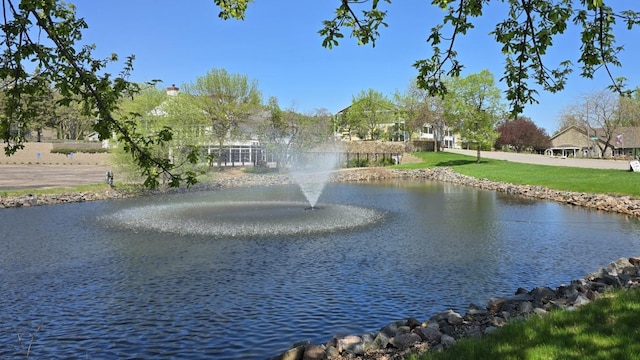173 Cardinal Ln, Clearwater, MN 55320 - water view