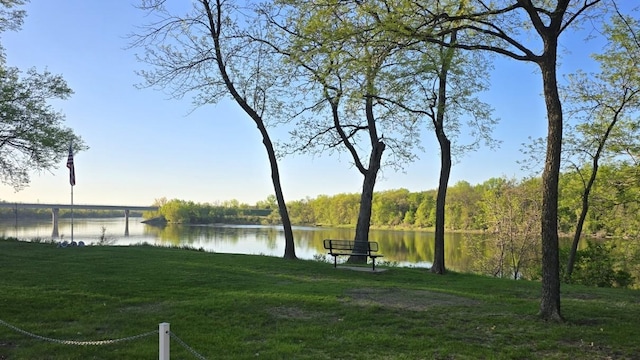 173 Cardinal Ln, Clearwater, MN 55320 - water view