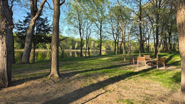 173 Cardinal Ln, Clearwater, MN 55320 - view of green lawn featuring a water view