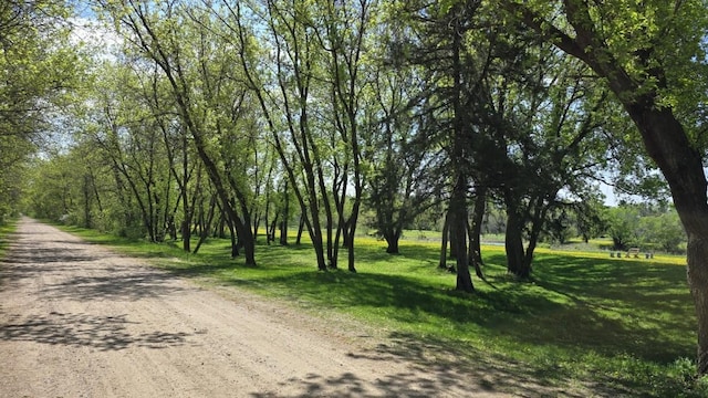 173 Cardinal Ln, Clearwater, MN 55320 - view of dirt / gravel road