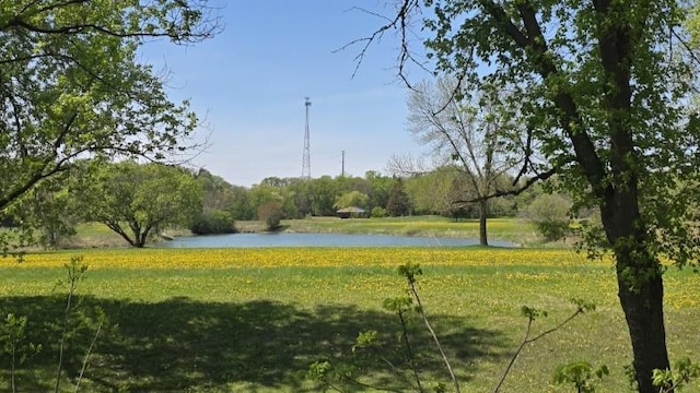 173 Cardinal Ln, Clearwater, MN 55320 - view of grassy yard featuring a water view
