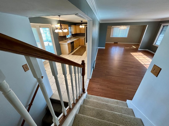 324 Maple Ave S, Thief River Falls, MN 56701 - stairs with a chandelier, crown molding, wood finished floors, baseboards, and healthy amount of natural light