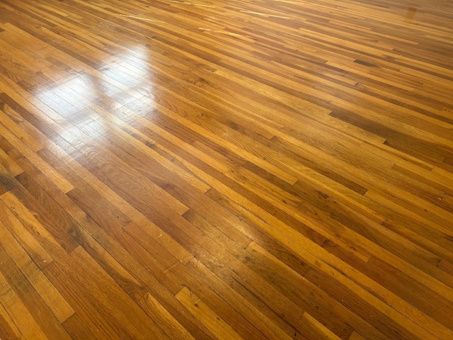 324 Maple Ave S, Thief River Falls, MN 56701 - detailed view of wood finished floors