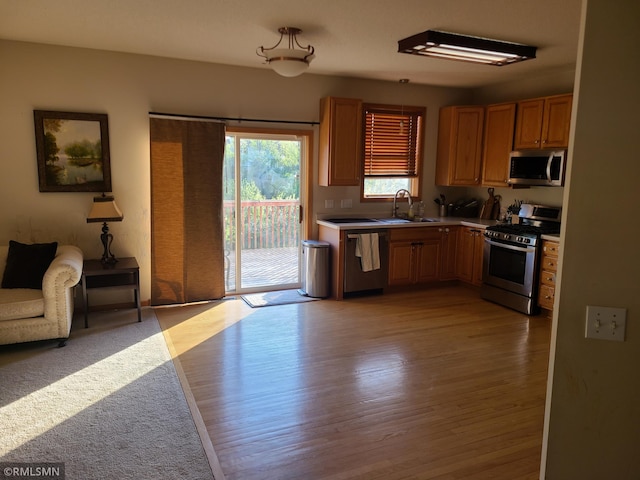 kitchen featuring appliances with stainless steel finishes, a sink, light wood-style floors, and open floor plan