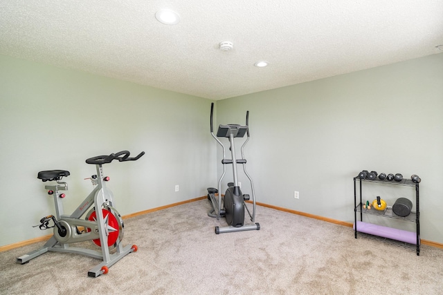 27667 Bay Shore Dr NW, Isanti, MN 55040 - workout room with carpet floors, a textured ceiling, baseboards, and recessed lighting