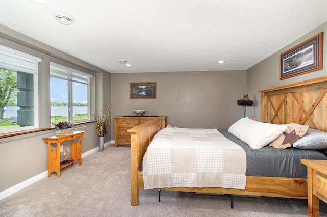 27667 Bay Shore Dr NW, Isanti, MN 55040 - bedroom featuring light colored carpet, baseboards, a water view, and recessed lighting