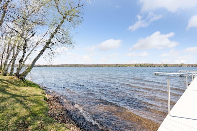 water view featuring a boat dock