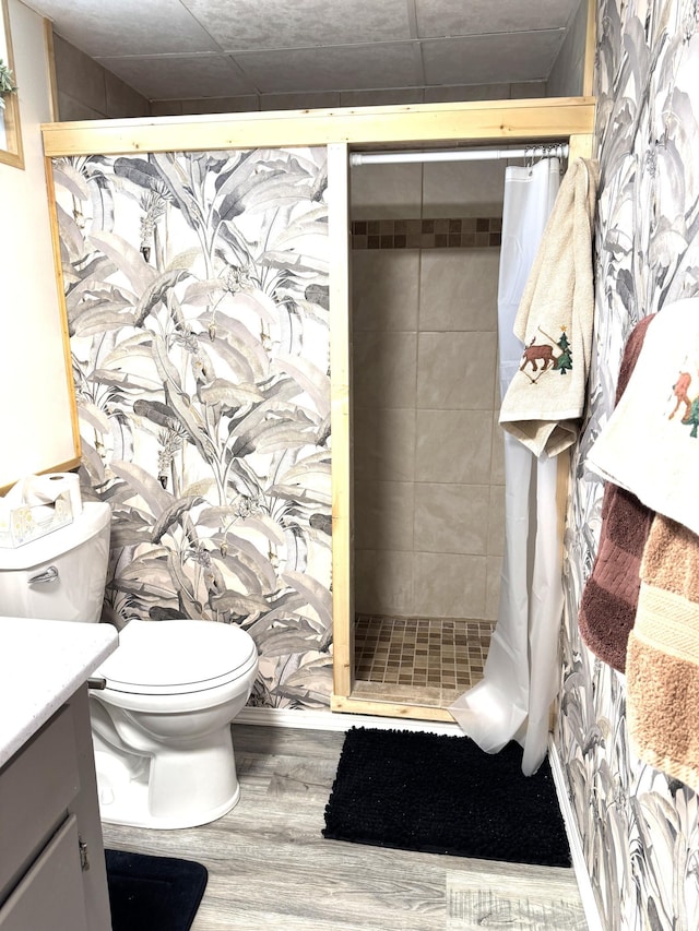 23479 State 200, Itasca Twp, MN 56676 - full bath with wood finished floors, vanity, a shower stall, and toilet