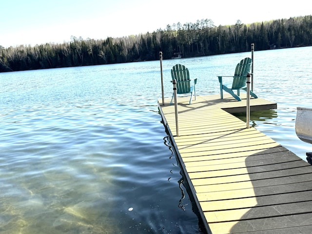 23479 State 200, Itasca Twp, MN 56676 - dock area with a wooded view and a water view