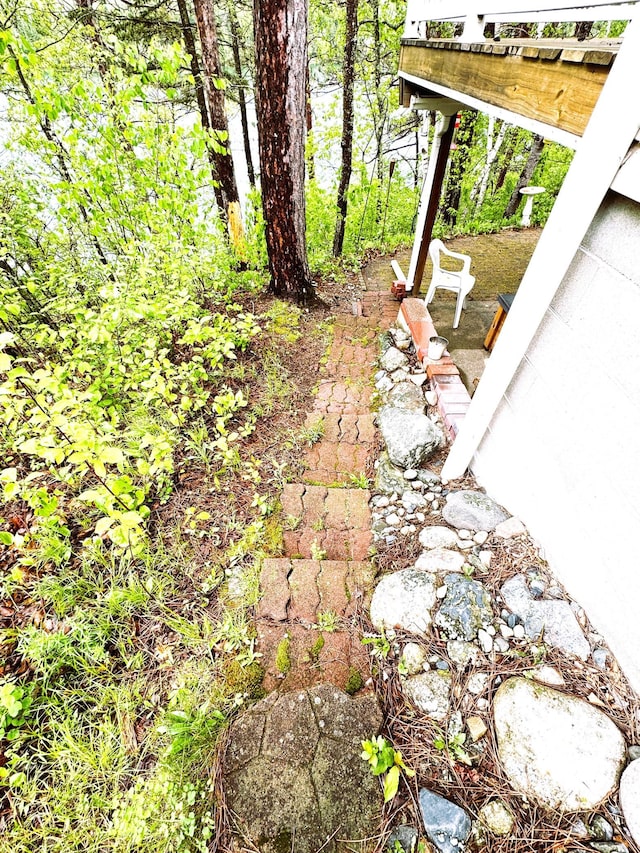 23479 State 200, Itasca Twp, MN 56676 - view of yard