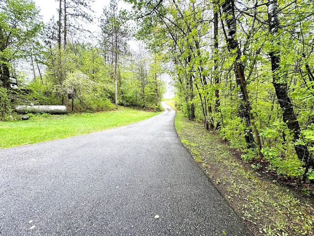 23479 State 200, Itasca Twp, MN 56676 - view of road