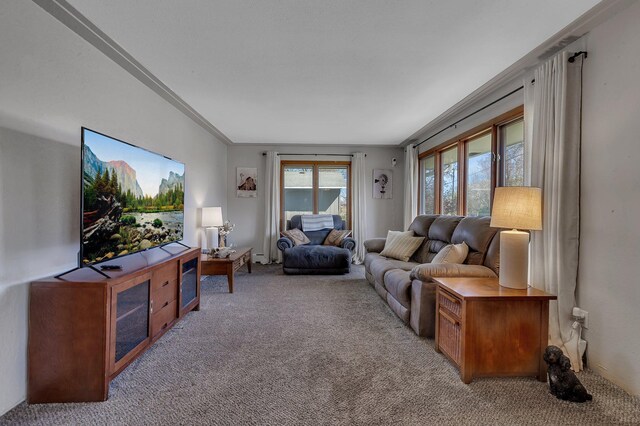 living area with carpet flooring