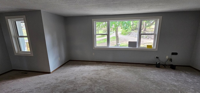 16128 331st Ave, Preston Twp, MN 55939 - photo 47