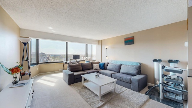 living area with carpet, a textured ceiling, and baseboards