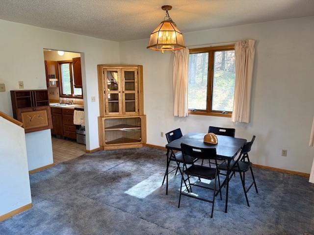carpeted dining room featuring baseboards