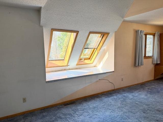 additional living space with carpet, a skylight, baseboards, and a textured ceiling