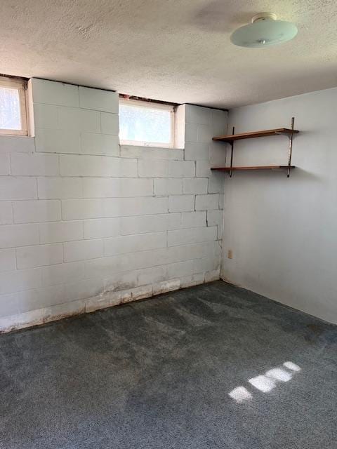 below grade area featuring healthy amount of natural light, a textured ceiling, carpet flooring, and concrete block wall