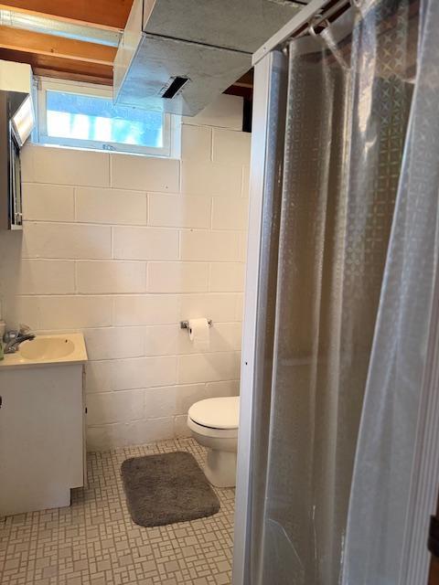 full bathroom featuring vanity, toilet, and a shower with shower curtain