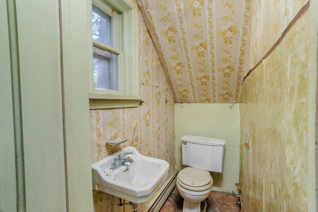 414 4th St, Winthrop, MN 55396 - bathroom featuring toilet, a sink, and lofted ceiling