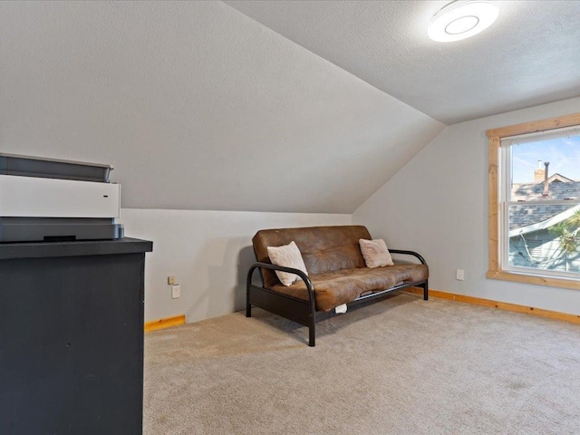 611 3rd St SW, Crosby, MN 56441 - living area with vaulted ceiling, carpet, a textured ceiling, and baseboards
