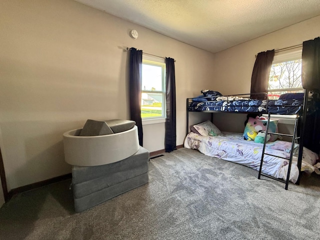513 Water Ave N, Saint Hilaire, MN 56754 - bedroom with carpet, a textured ceiling, and baseboards
