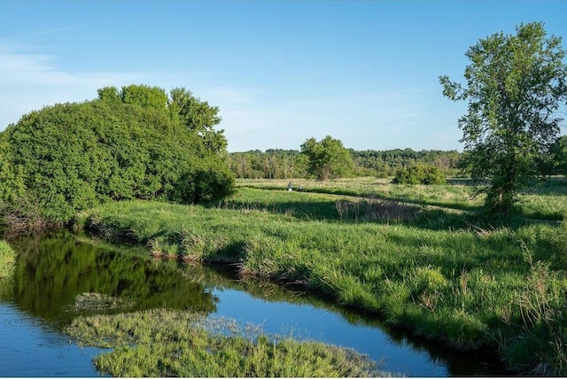 water view with a forest