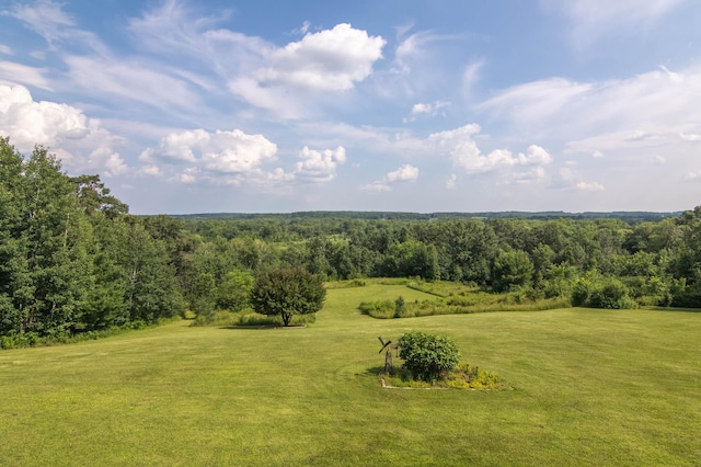 532 150th St, Alden Twp, WI 54001 - view of woods