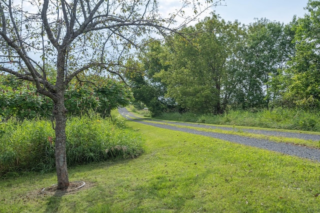 532 150th St, Alden Twp, WI 54001 - view of street