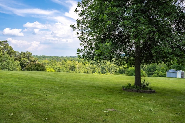 532 150th St, Alden Twp, WI 54001 - view of grassy yard featuring a storage shed, an outbuilding, and a view of trees
