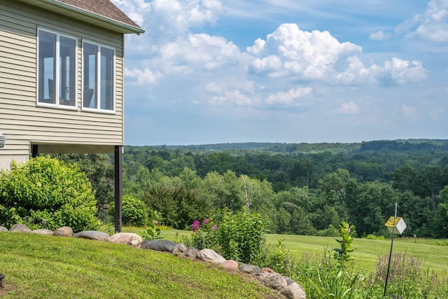 532 150th St, Alden Twp, WI 54001 - view of grassy yard featuring a wooded view