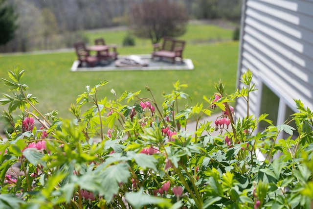 532 150th St, Alden Twp, WI 54001 - view of yard