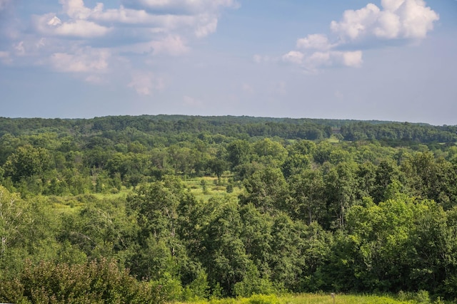 532 150th St, Alden Twp, WI 54001 - view of woods