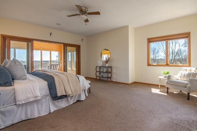532 150th St, Alden Twp, WI 54001 - carpeted bedroom featuring access to exterior, multiple windows, baseboards, and ceiling fan