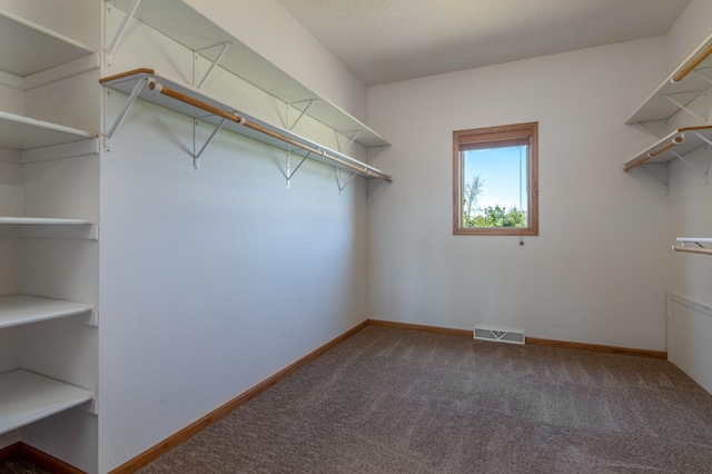 532 150th St, Alden Twp, WI 54001 - walk in closet with carpet