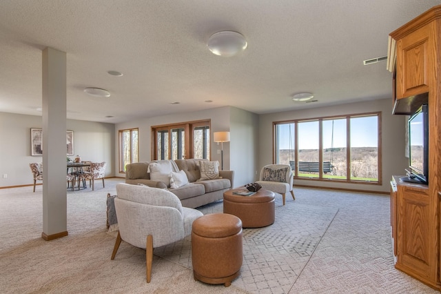 532 150th St, Alden Twp, WI 54001 - living room with light colored carpet, baseboards, and a textured ceiling