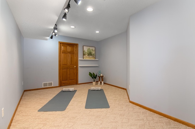 532 150th St, Alden Twp, WI 54001 - exercise area featuring carpet, baseboards, track lighting, a textured ceiling, and recessed lighting