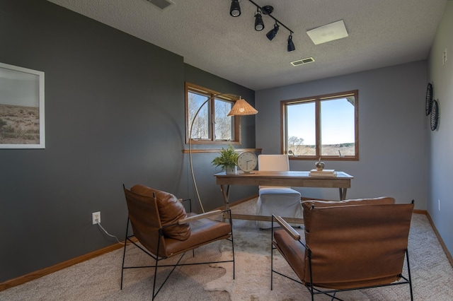 532 150th St, Alden Twp, WI 54001 - home office featuring a textured ceiling, baseboards, rail lighting, and carpet floors