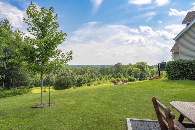 532 150th St, Alden Twp, WI 54001 - view of grassy yard