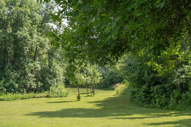 532 150th St, Alden Twp, WI 54001 - view of green lawn