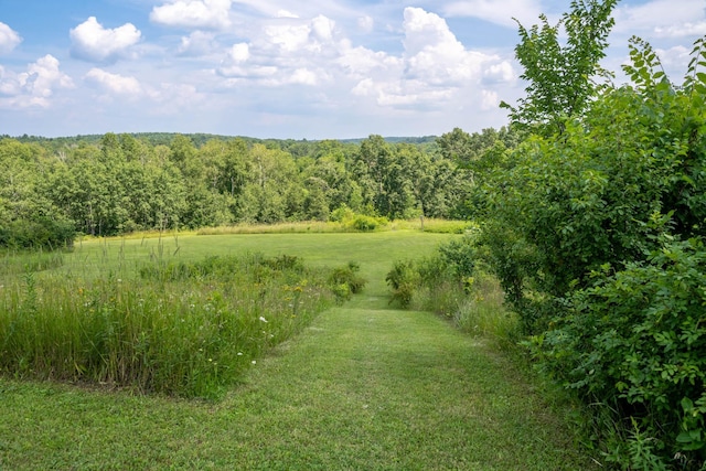 532 150th St, Alden Twp, WI 54001 - view of wooded area featuring a view of rural / pastoral area