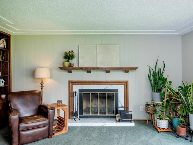 3509 Coolidge St NE, Saint Anthony, MN 55418 - carpeted living area with a textured ceiling and a glass covered fireplace