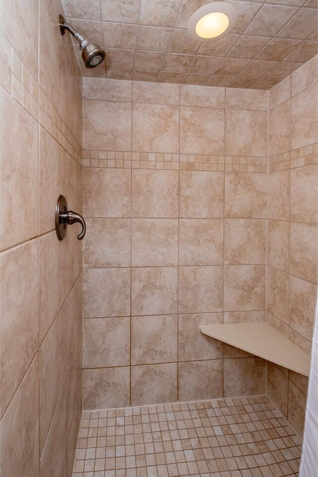 3509 Coolidge St NE, Saint Anthony, MN 55418 - bathroom with a tile shower