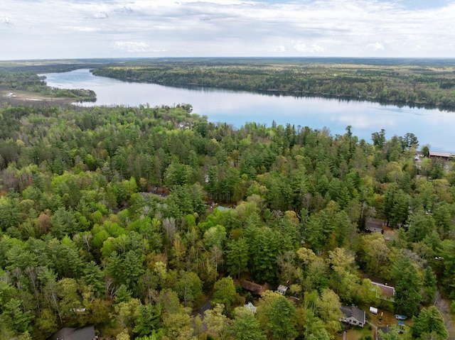 9262 Park Ave, Solon Springs, WI 54873 - aerial view of a forest and a nearby body of water